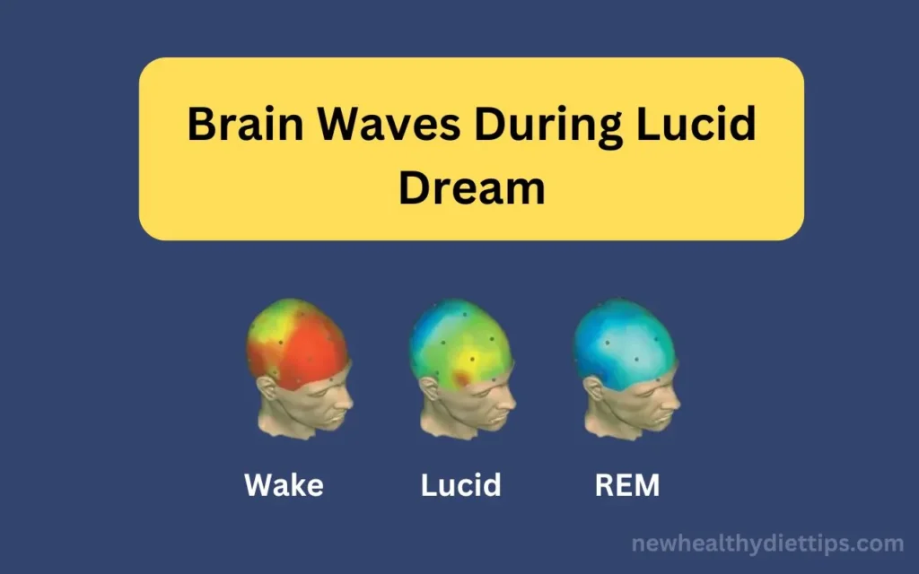 Brain Waves During Lucid Dream